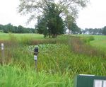 Stormwater Wetlands for Golf Courses
