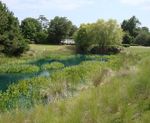 Stormwater Wetlands for Golf Courses