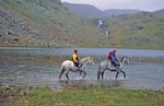 Things to Do while staying at Aghadoe Heights Hotel and Spa