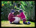 Parent Information Booklet 2020 - Excite, Engage, and Educate to Achieve - Poynter Primary School