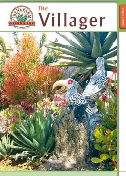 Villager The - Irene Farm Villages