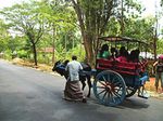 History and Evolution of Automobiles - ncert