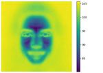 Face Images as Jigsaw Puzzles: Compositional Perception of Human Faces for Machines Using Generative Adversarial Networks