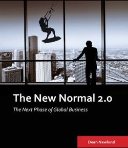 The New Normal 2.0 The Next Phase of Global Business - Dean Newlund