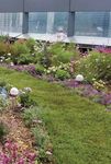 Award-Winning Gardens - Chicago Excellence in Gardening ...