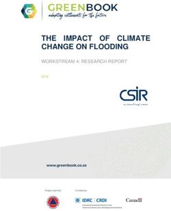 THE CHANGE ON FLOODING - WORKSTREAM 4: RESEARCH REPORT IMPACT OF CLIMATE - CSIR