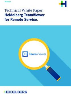 Technical White Paper - Heidelberg TeamViewer for Remote Service. Prinect