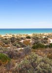 Draft Regional Landscape Plan 2021-26 - Pathway to a cooler, greener, wilder and climate resilient Adelaide - Amazon AWS