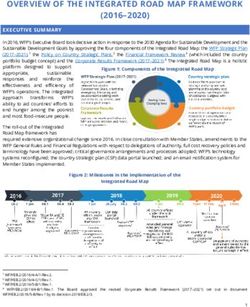 OVERVIEW OF THE INTEGRATED ROAD MAP FRAMEWORK