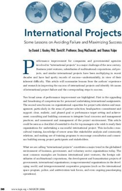 International Projects - Some Lessons on Avoiding Failure and Maximizing Success