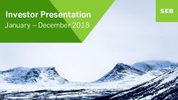 Investor Presentation - January - December 2018 - SEB