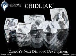 CHIDLIAK - Canada's Next Diamond Development March 2018 - Mining Data Solutions