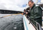 CHARTER BOAT FISHING IN IRELAND