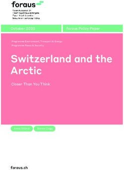 Switzerland and the Arctic - October 2020 foraus Policy Paper