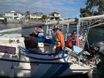 PASSAGE PONDERINGS - Marine Rescue Bribie