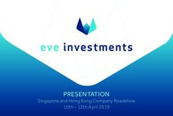 PRESENTATION Singapore and Hong Kong Company Roadshow 10th - 12th April 2019 - Eve Investments