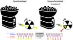 Using Optogenetic Dyadic Animal Models to Elucidate the Neural Basis for Human Parent-Infant Social Knowledge Transmission