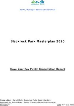 Blackrock Park Masterplan 2020 - Have Your Say Public Consultation Report - Dún Laoghaire ...