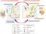The Gut-Brain Axis in Multiple Sclerosis. Is Its Dysfunction a Pathological Trigger or a Consequence of the Disease?