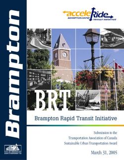 Brampton Rapid Transit Initiative - March 31, 2005 Submission to the Transportation Association of Canada Sustainable Urban Transportation Award