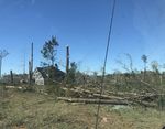 TIMBER IMPACT ASSESSMENT - Heard - Coweta County Tornado, March 25-26, 2021 - Georgia Forestry ...
