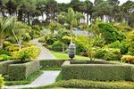 New Zealand Wattletree Garden Tours