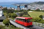 New Zealand Wattletree Garden Tours