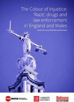 The Colour of Injustice: 'Race', drugs and law enforcement in England and Wales - Michael Shiner, Zoe Carre, Rebekah Delsol and Niamh Eastwood