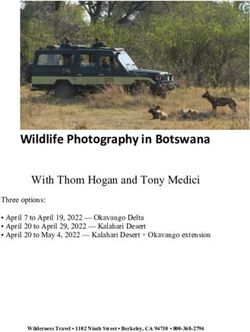 WILDLIFE PHOTOGRAPHY IN BOTSWANA - WITH THOM HOGAN AND TONY MEDICI - BYTHOM