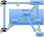 RECOMMENDATIONS FOR VOIP AND IMS SECURITY - ARI TAKANEN CTO