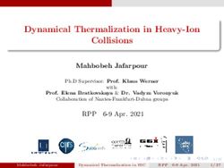 Dynamical Thermalization in Heavy-Ion Collisions - Indico
