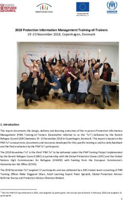 2018 Protection Information Management Training-of-Trainers - Global Protection ...