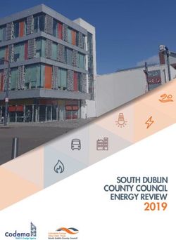 2019 SOUTH DUBLIN COUNTY COUNCIL ENERGY REVIEW