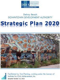 Strategic Plan 2020 DOWNTOWN DEVELOPMENT AUTHORITY - Delray Beach - Facilitated by Tom Fleming, working under the banner of Institute for Civic ...