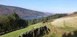 Old House Farm, Derwent Vision & Particulars - Nature Friendly ...
