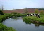Axe and Exe River Improvement Project Project Plan - Westcountry Rivers Trust