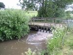 Axe and Exe River Improvement Project Project Plan - Westcountry Rivers Trust