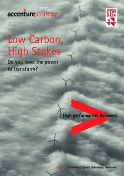 Low Carbon, High Stakes - Do you have the power to transform? - Accenture