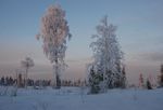 High Grade Gold-Cobalt Resource Expansion in Finland - Mawson ...