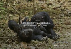 Lake Tanganyika Expedition - 2021 24th September - 4th October - Anderson Expeditions