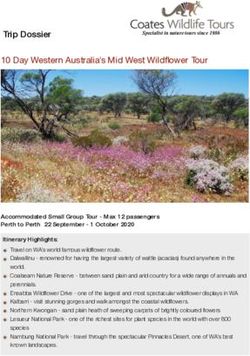10 Day Western Australia's Mid West Wildflower Tour