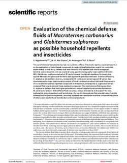 Evaluation of the chemical defense fluids of Macrotermes carbonarius and Globitermes sulphureus as possible household repellents and insecticides
