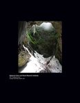 Front cover - National Cave and Karst Research Institute