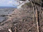 Samoa Earthquake and Tsunami of September 29, 2009