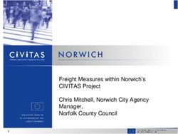 Freight Measures within Norwich's CIVITAS Project Chris Mitchell, Norwich City Agency Manager, Norfolk County Council