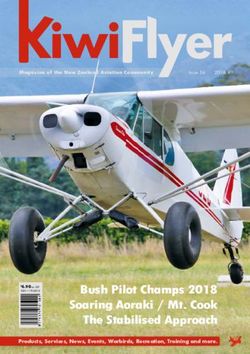 KIWIFLYER - BUSH PILOT CHAMPS 2018 SOARING AORAKI / MT. COOK THE STABILISED APPROACH
