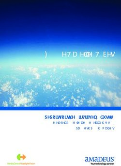 2020 Future Traveller Tribes - Report for the Air Travel Industry - Amadeus