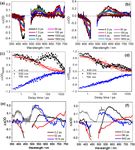 PHOTOCATHODES BEYOND NIO: CHARGE TRANSFER DYNAMICS IN A &Pi; CONJUGATED POLYMER FUNCTIONALIZED WITH RU PHOTOSENSITIZERS - NATURE