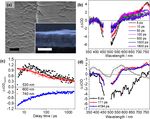 PHOTOCATHODES BEYOND NIO: CHARGE TRANSFER DYNAMICS IN A &Pi; CONJUGATED POLYMER FUNCTIONALIZED WITH RU PHOTOSENSITIZERS - NATURE