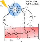 PHOTOCATHODES BEYOND NIO: CHARGE TRANSFER DYNAMICS IN A &Pi; CONJUGATED POLYMER FUNCTIONALIZED WITH RU PHOTOSENSITIZERS - NATURE